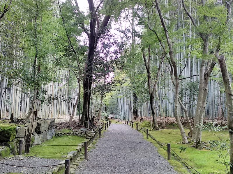 bambous temple jizo