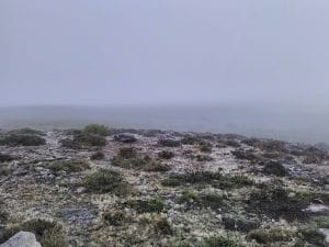 vestige de pierres en cercles dans le brouillard