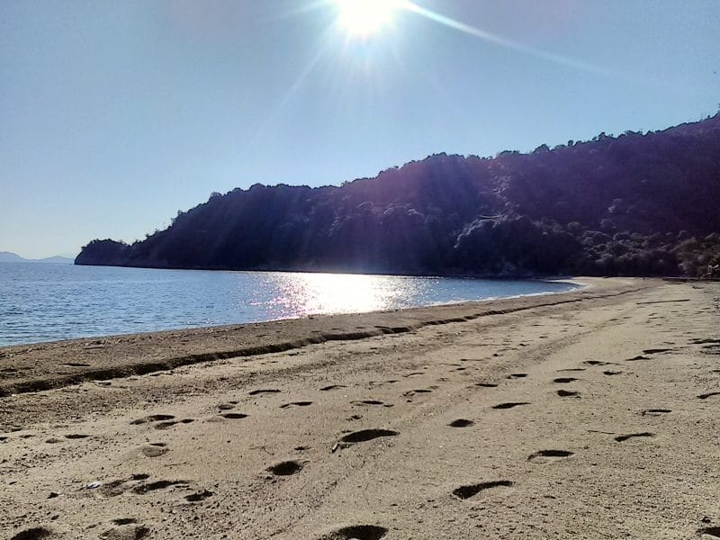 plage ensoleillée sur l'île de Miyajima