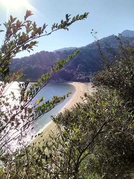 plage déserte sur l'île de Miyajima