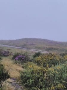 brouillard matinal sur le plateau de Castro Laboreiro